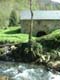 Le ruisseau